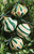 Paper-Mache Ornaments - Green - Set of 4