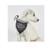 Pet Bandana - Got Treats?