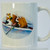 rowing guinea pigs in coxed pair coffee mug