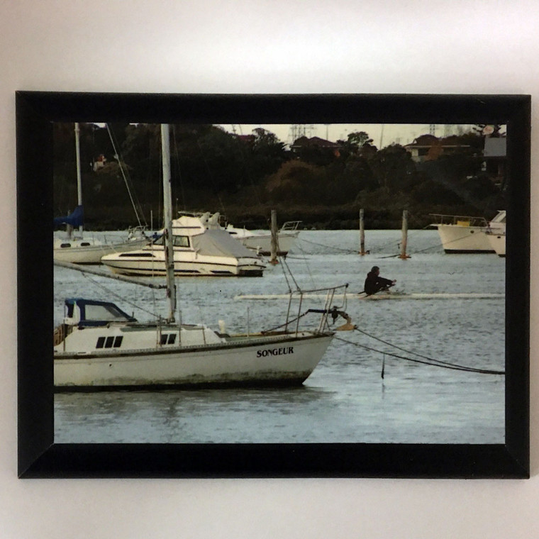 Auckland harbor scene with sculler