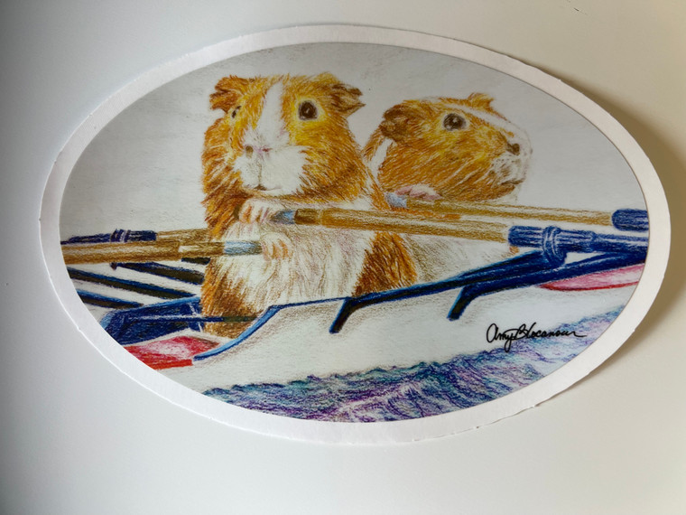 Rowing guinea pig sticker double sculls by artist Amy Cocanour