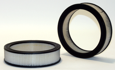 Baldwin Air Filter PA2063