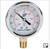 Pressure Gauge 100 psi