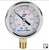 Pressure Gauge 15 psi