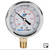 Pressure Gauge 30 PSI, 2.5", Lower Mount