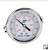Pressure Gauge 5,000 psi Back Mount
