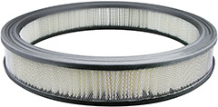 Baldwin Air Filter PA1828