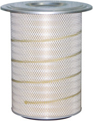Baldwin Air Filter PA2393
