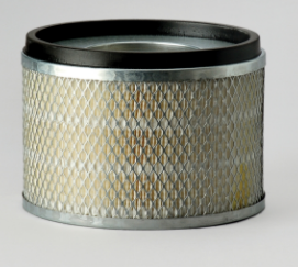 Donaldson Air Filter P181125