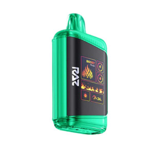 RAZ DC25000 25K Puffs Disposable Vape 25000 - Wintergreen