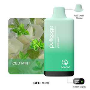 Puffgogo GO8000 Disposable 8000 Puffs - Iced Mint