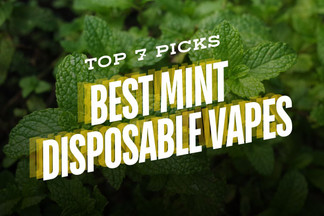 7 Best Mint Disposable Vape: Top Picks for 2026
