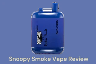 Snoopy Smoke Vape Review and Best Alternatives