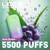 Ligg Pro 5500 Puffs Disposable Vape - Aloe Grape