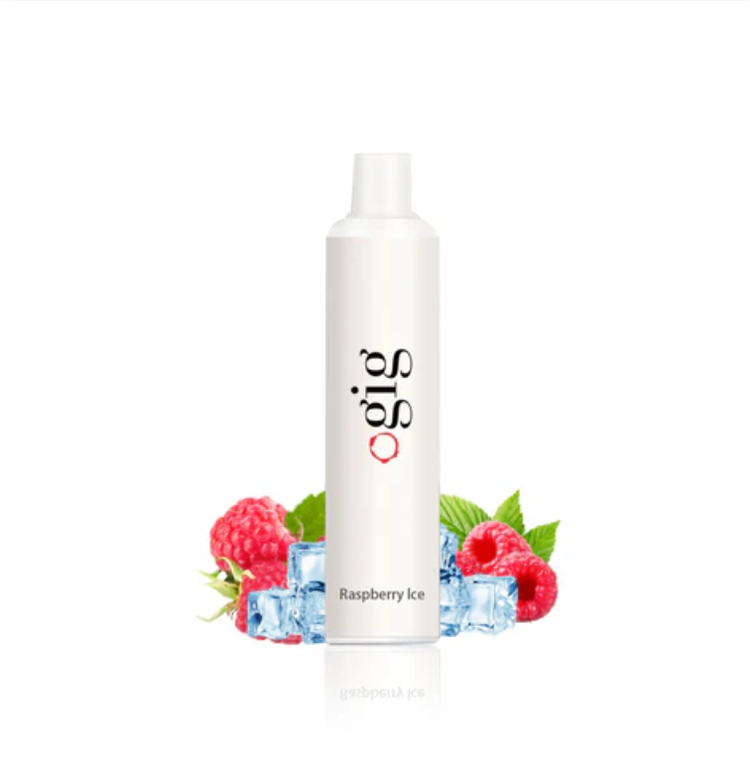 Gig 1300 Disposable 1300 Puffs - Raspberry Ice
