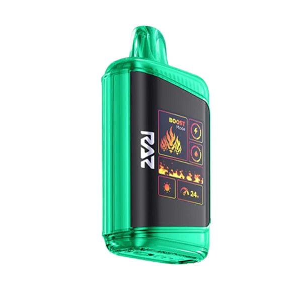 RAZ DC25000 25K Puffs Disposable Vape 25000 - Wintergreen