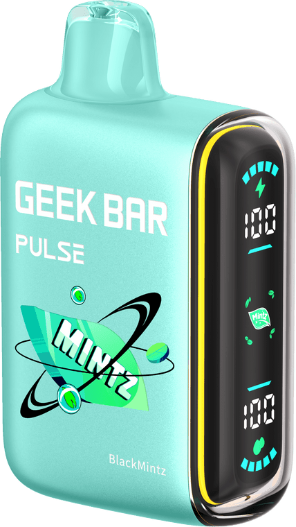 Geek Bar Pulse 15000 Puffs Disposable Vape - Black Mintz