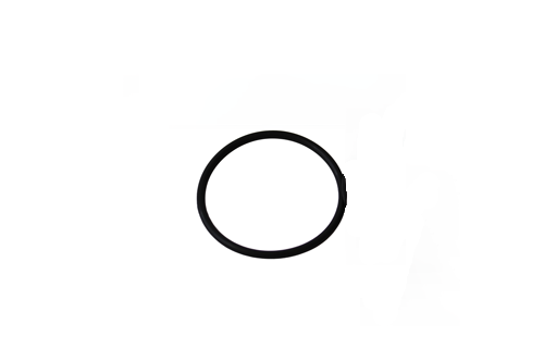 O-RING, VITON, 2-131