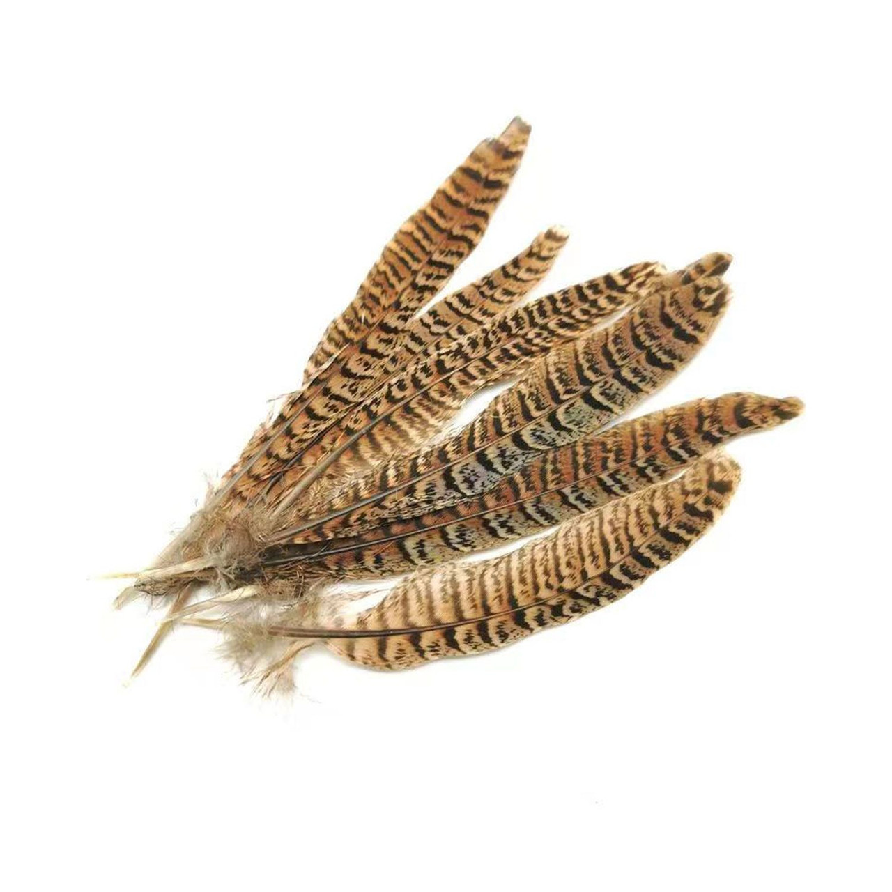 Natural Pheasant Feathers - 10pcs