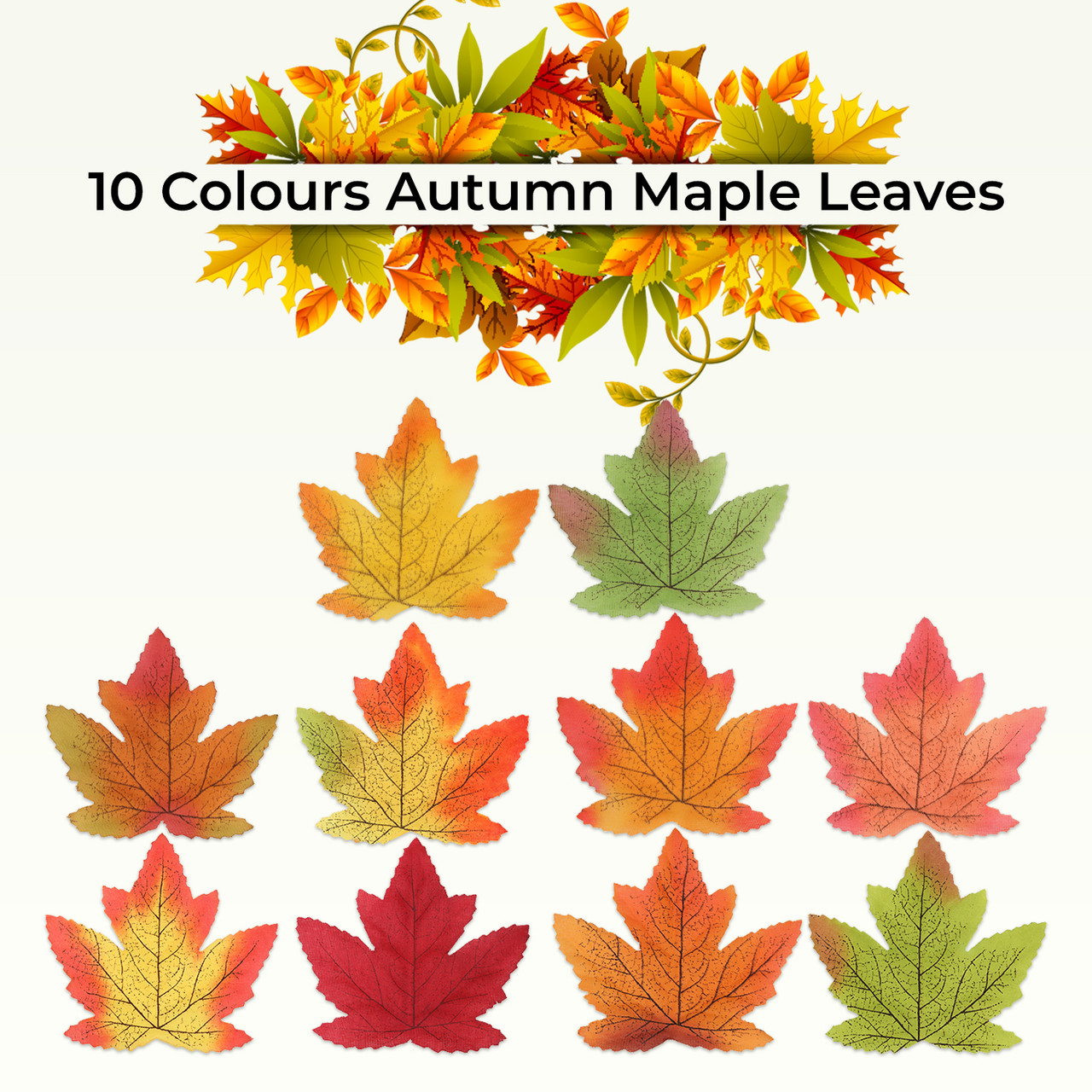 all maple leaves