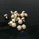 Domed Pearl Rivets (Pack of 10)
