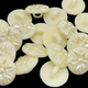 15mm Plastic Shank Buttons (Pack of 10) - Ivory