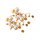 8.5mm Ivory Pearl Stud Rivets (Pack of 50)