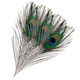 Peacock Feathers - Large