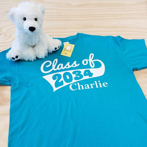 相似象学会誌　相似象　第１４号 カタカムナ 相似象 相似象学会誌