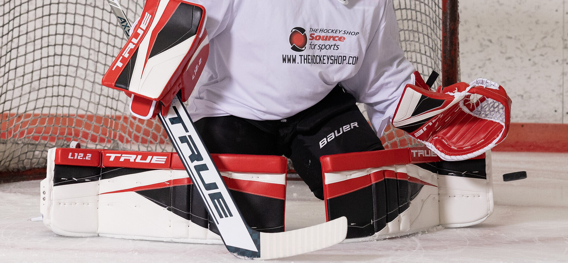 Hockey goalie playing