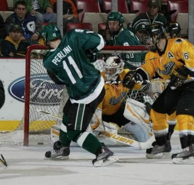 Pro Stock Hockey Journeymen