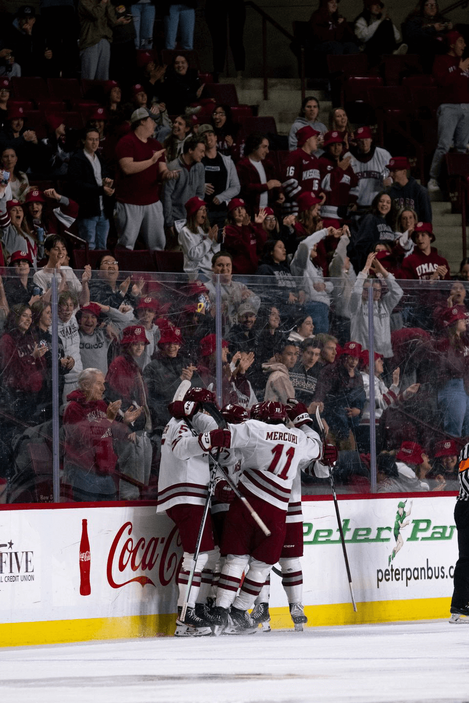 Lucas Mercuri Pro Hockey Player