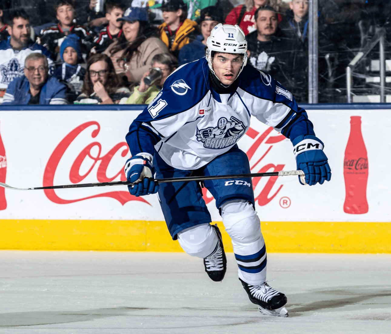 Lucas Mercuri Pro Hockey Player