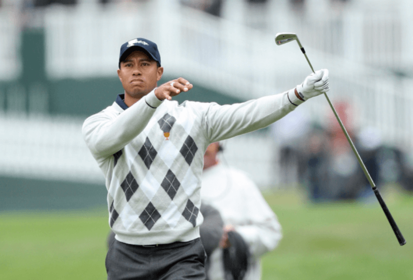 Figure 10 TIGER WOODS