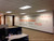 12" ORACAL 631 Removable Adhesive Indoor/ Outdoor Vinyl