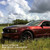 KPMF K75400 Series Vinyl Vehicle Wrap - Gloss Red/Black Iridescent (K75408) CLEARANCE