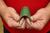 Image One Impact 4" Soft Flex Squeegee