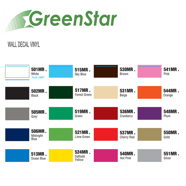 GreenStar 20 Color 12 x12 Sheets Indoor Vinyl Bundle Matte Removable greenstar-20-color-12-x12-sheets-indoor-vinyl-bundle-matte-removable