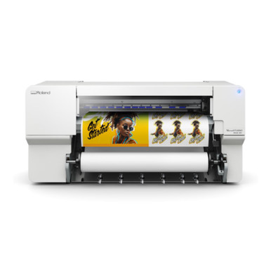 Roland VersaSTUDIO BN2-30 30