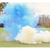 Sonic Boom Exploding Rifle Target Gender Reveal Kit - 602573240700