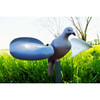 Mojo Wind Dove Decoy #HW7201 - 816740002019