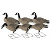Avery Pro-Grade XD Series Full Body Canada Goose – Harvester Pack #71586 - 700905715862