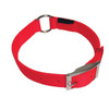 Scott Pet 1" Orange Collar #1648 - 015958219039