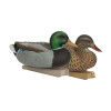 Avery Essential Series Standard Mallard 12-Pack #70010 - 700905700103