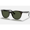 Ray-Ban Wayfarer II Classic Gloss Tortoise w/ Green G-15 #RB2185-902/31 - 8056597017596