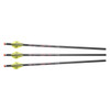 Excalibur Quill 16.5" Illuminated Carbon Arrows – 3 Pack #22QV16IL-3 - 626192221636