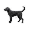 Underwood Casey Black Lab Decal #DBLKLAB5 - 741754935438