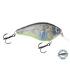 Livingston Primetyme SQ 2.0 -