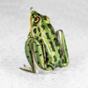 Lunkerhunt Lunker Frog #LF -