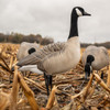 Dive Bomb Decoy 4pk Canada Goose Full Body #40325 - 850053107719
